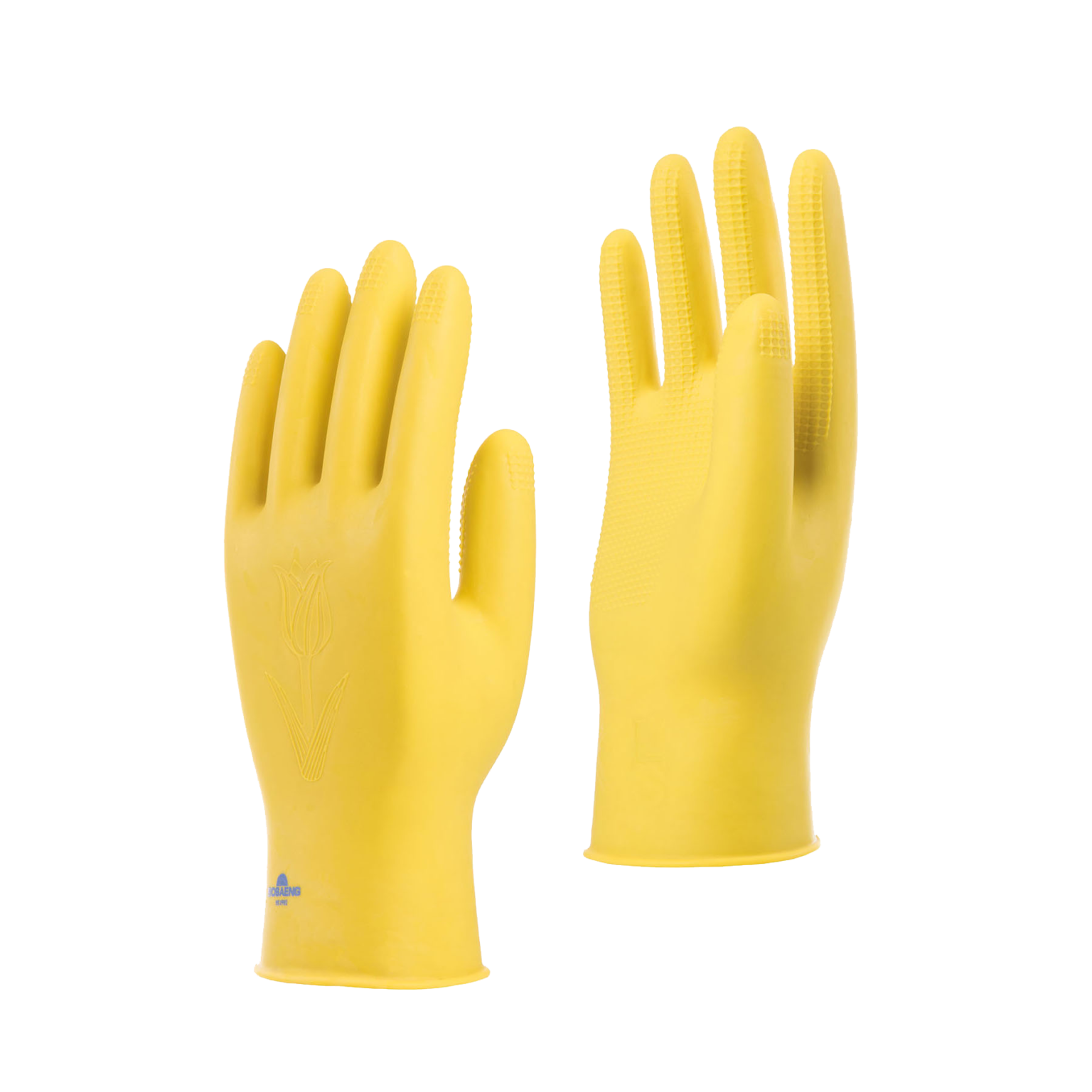 Latex Examination Gloves Latex & Nitrile Gloves Manufacturer