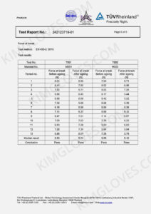 KG EN 455 Nitrile NT1 Test report-6