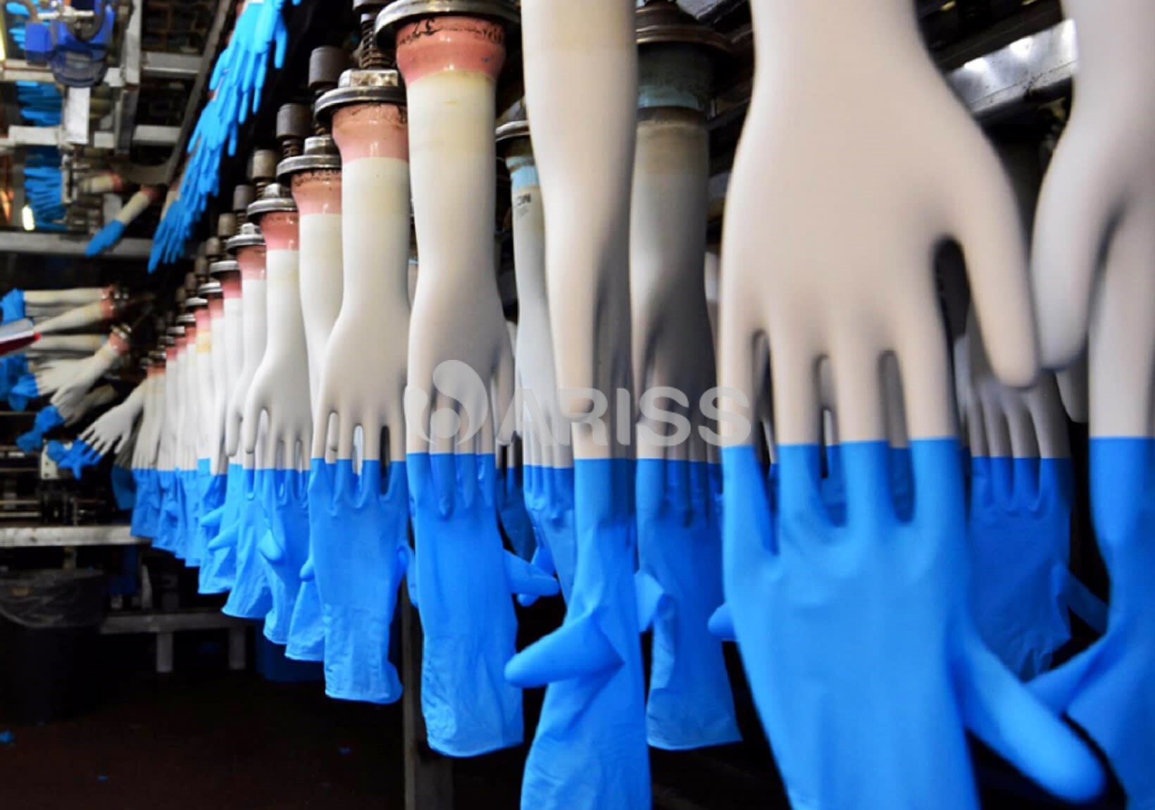 Nitrile Gloves Factory